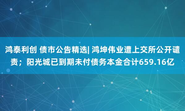 鸿泰利创 债市公告精选| 鸿坤伟业遭上交所公开谴责；阳光城已到期未付债务本金合计659.16亿