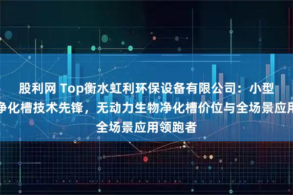 股利网 Top衡水虹利环保设备有限公司：小型无动力净化槽技术先锋，无动力生物净化槽价位与全场景应用领跑者