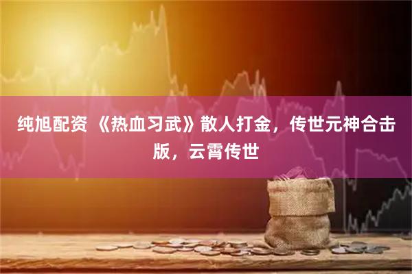 纯旭配资 《热血习武》散人打金，传世元神合击版，云霄传世